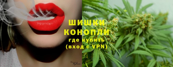 spice Елизово