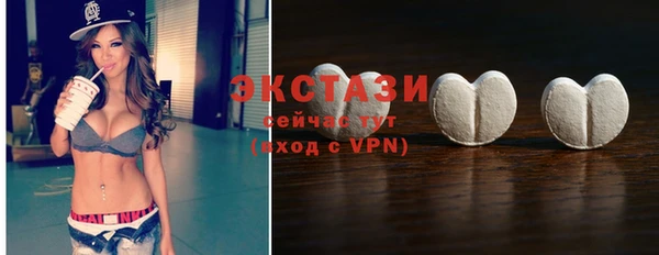 PSILOCYBIN Ельня