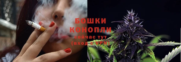 PSILOCYBIN Ельня