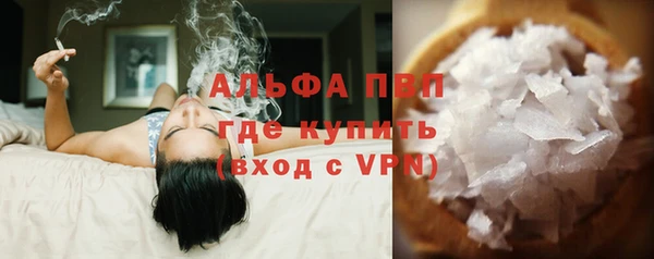 PSILOCYBIN Ельня