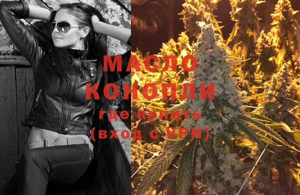 PSILOCYBIN Ельня