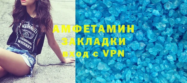 PSILOCYBIN Ельня