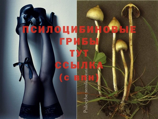 прущая мука Нея