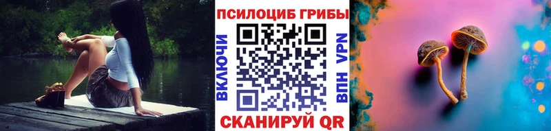Галлюциногенные грибы прущие грибы ОМГ ОМГ зеркало Катав-Ивановск